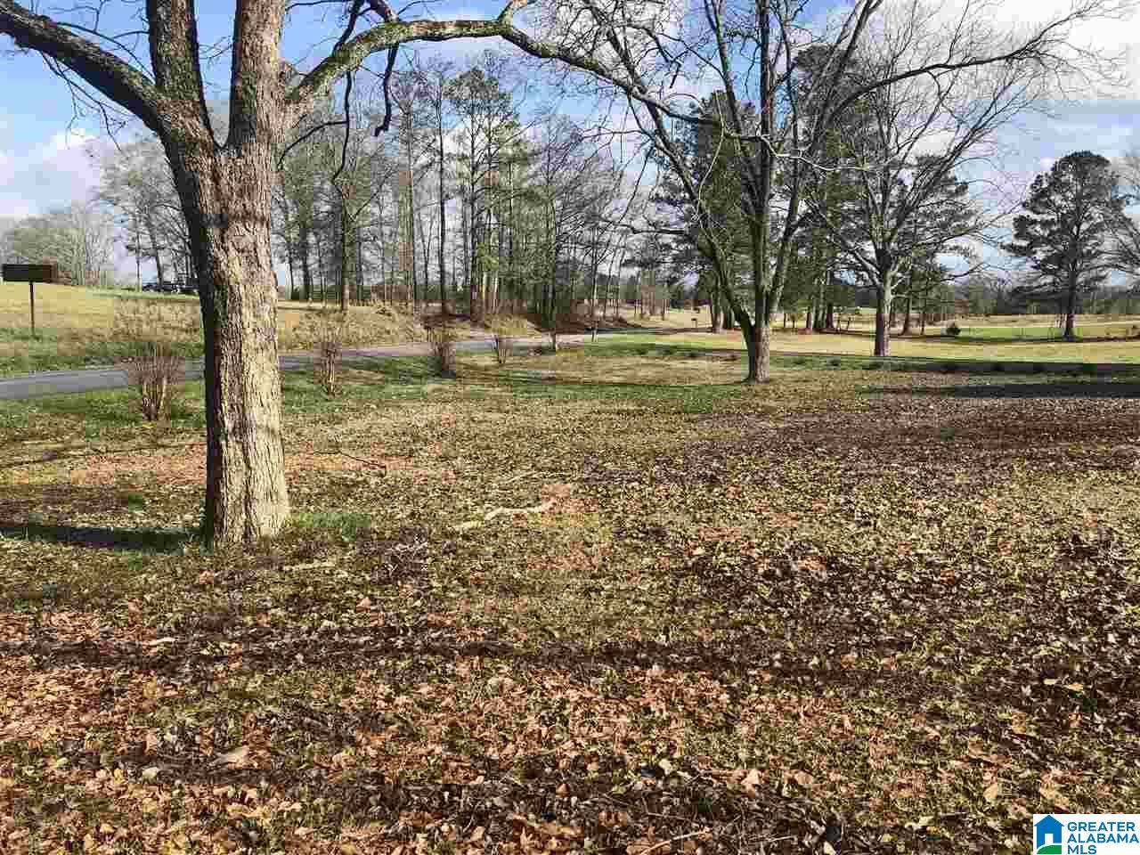 3363 County Road 81 Clanton, AL 35045 - Photo 34 of 35
