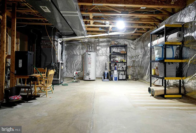 a view of a yard with plants and large trees