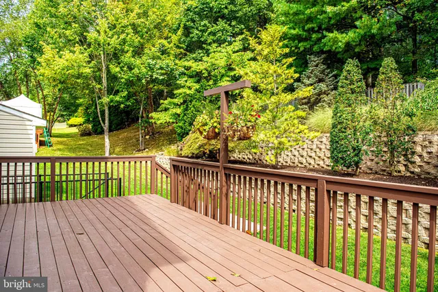 a view of a yard with plants and wooden fence