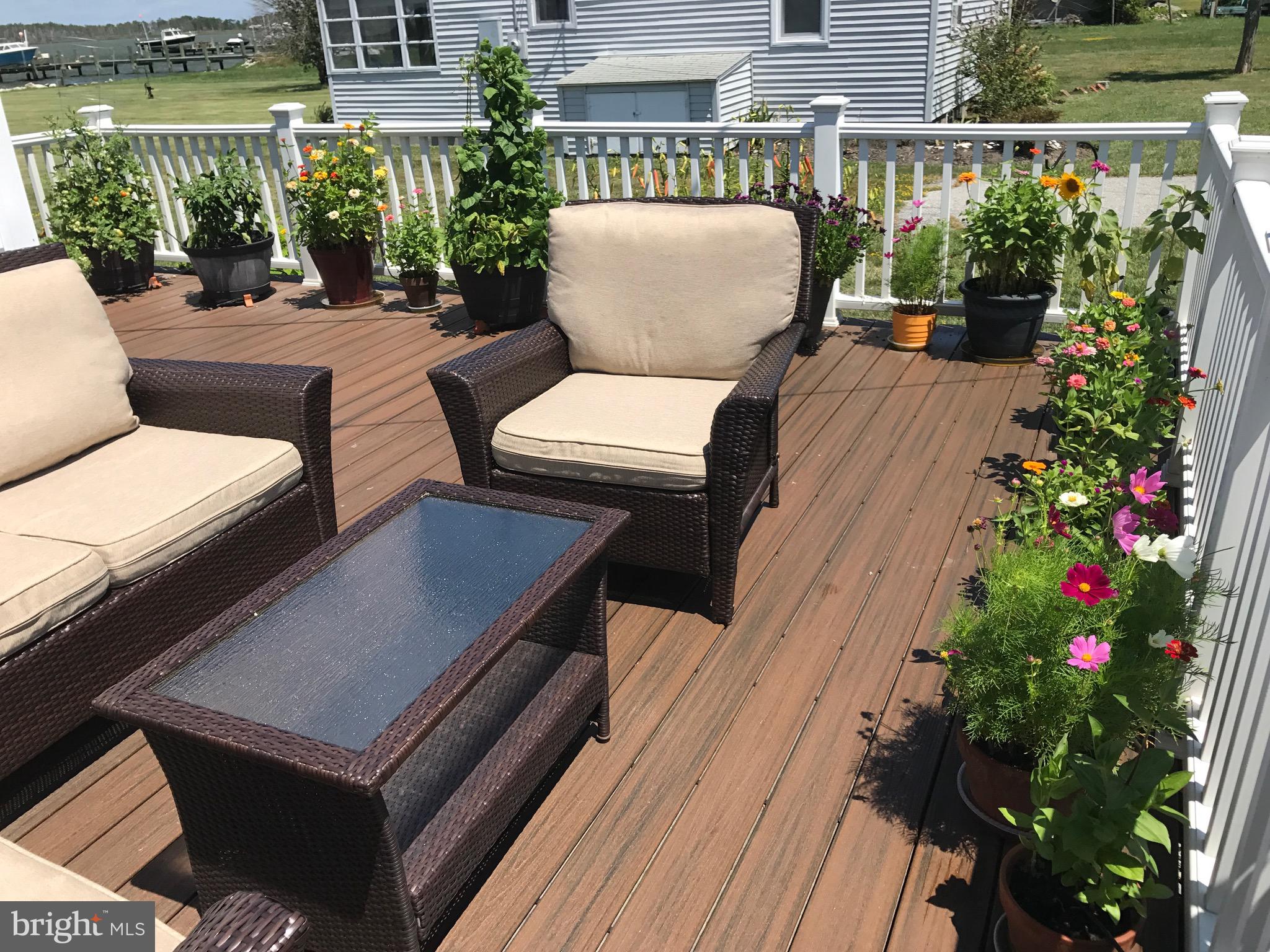 5558 Bowen Road Cambridge, MD 21613 - Photo 32 of 33 a view of a patio with couches table and chairs potted plants with swimming pool and ocean view