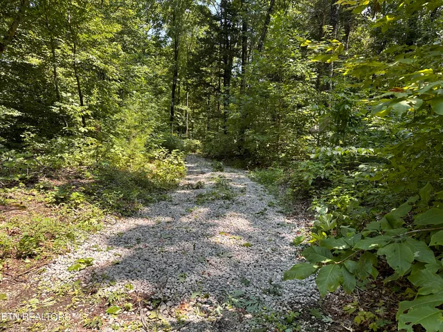 $249,900 | 12.55-ac Winningham Road, Byrdstown, TN 38549