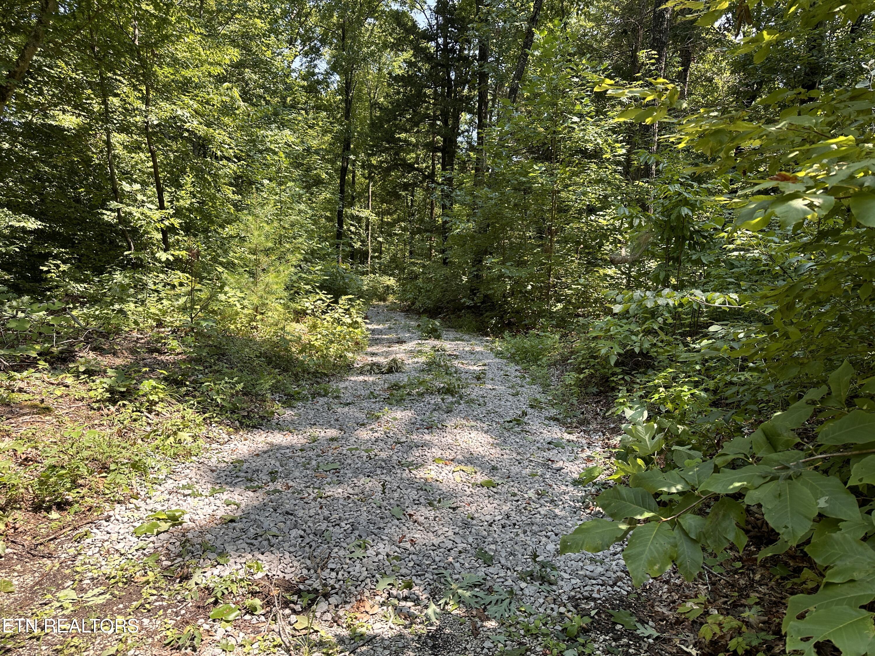 12.55-ac Winningham Road Byrdstown, TN 38549 - Photo 1 of 13 IMG_7315