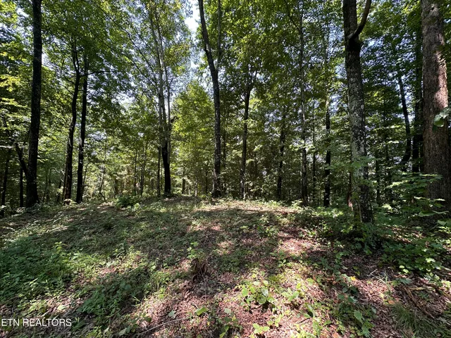 $249,900 | 12.55-ac Winningham Road, Byrdstown, TN 38549