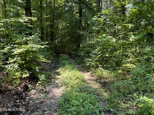 $249,900 | 12.55-ac Winningham Road, Byrdstown, TN 38549