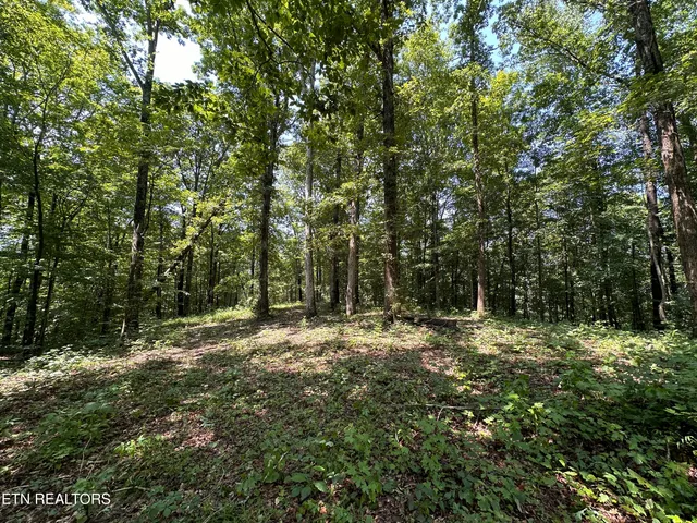 $249,900 | 12.55-ac Winningham Road, Byrdstown, TN 38549