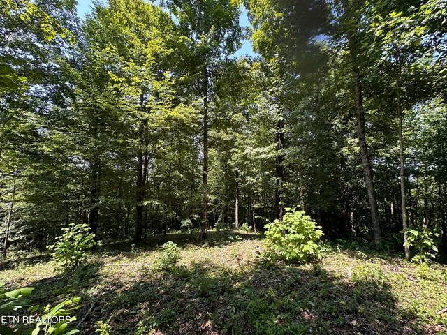 $249,900 | 12.55-ac Winningham Road, Byrdstown, TN 38549