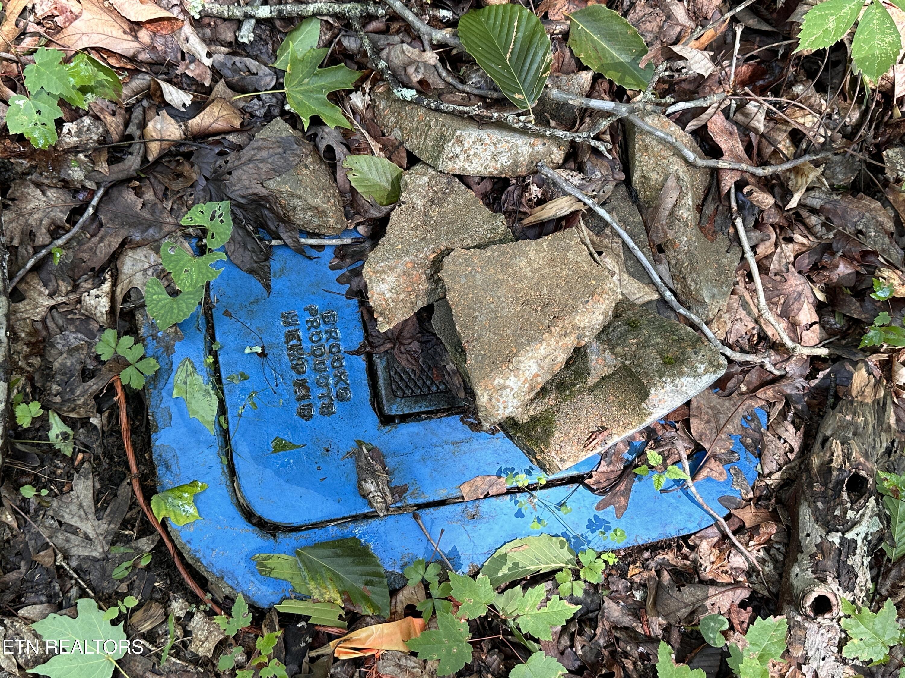 12.55-ac Winningham Road Byrdstown, TN 38549 - Photo 10 of 13 IMG_7324