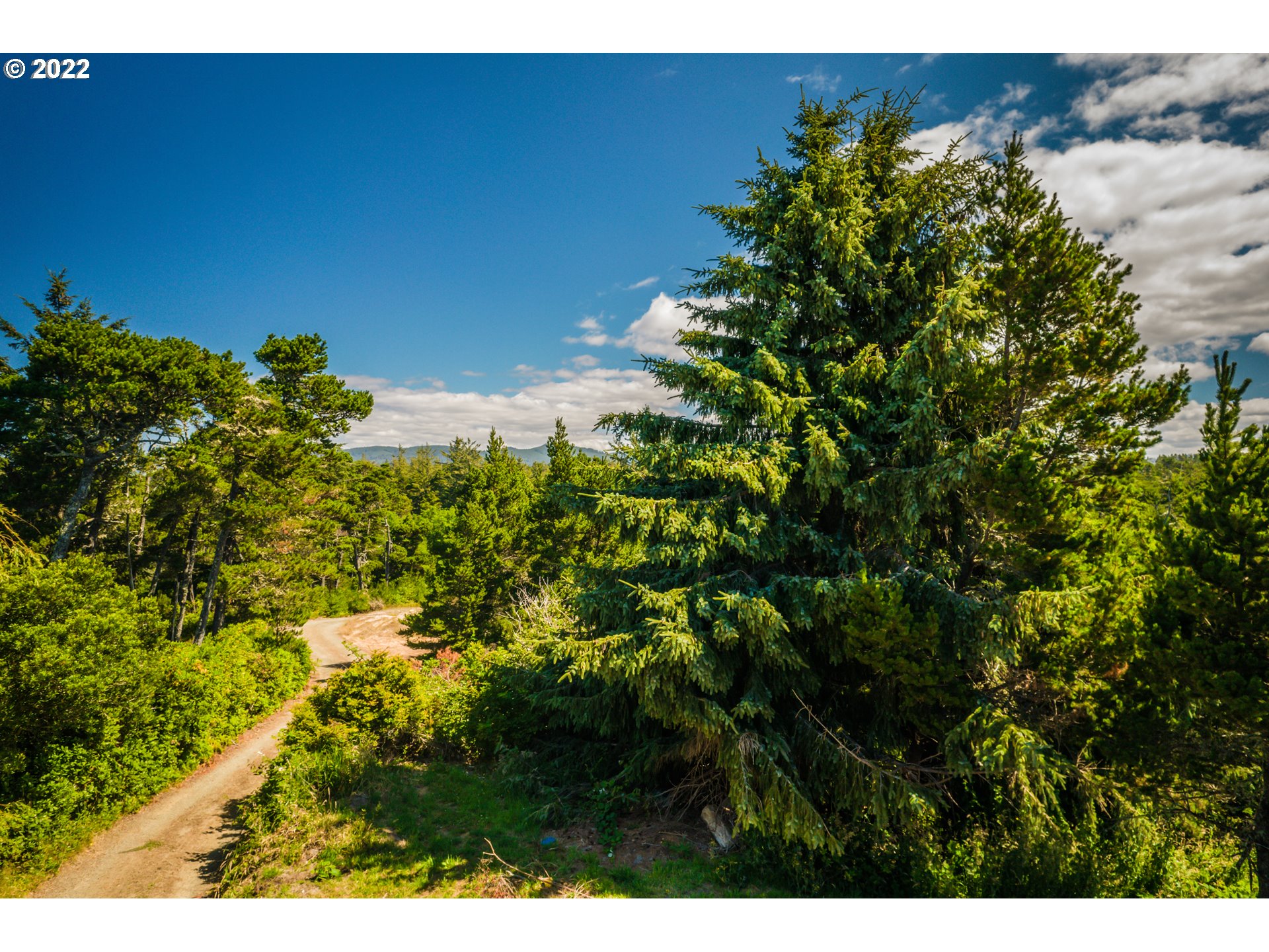 Heceta Beach Road, Unit 4501 Florence, OR 97439 - Photo 1 of 12 Gallery Image 1