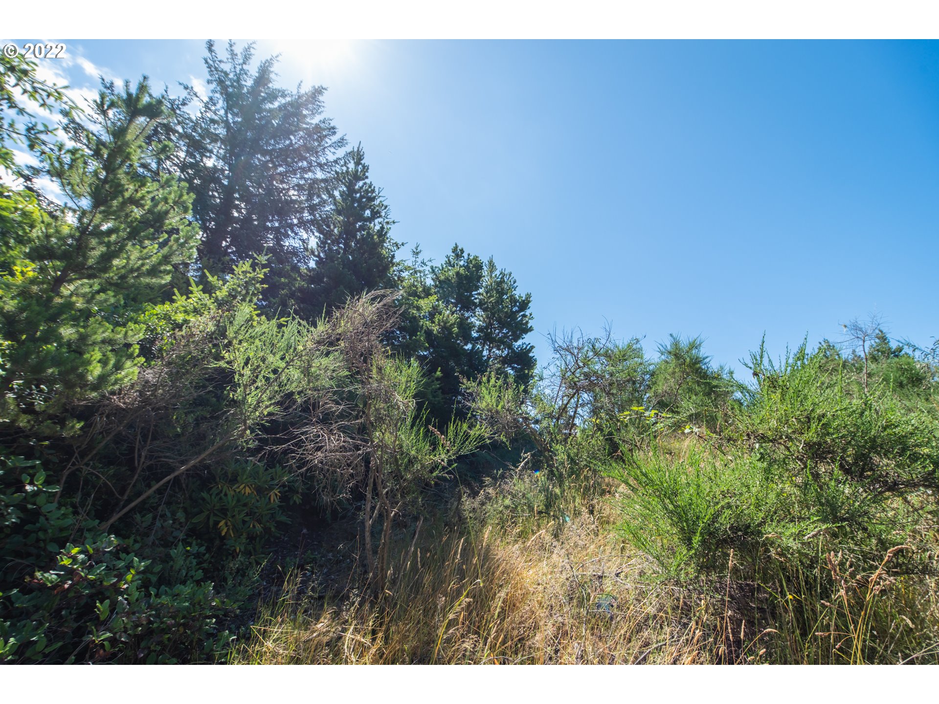 Heceta Beach Road, Unit 4501 Florence, OR 97439 - Photo 12 of 12 Gallery Image 12