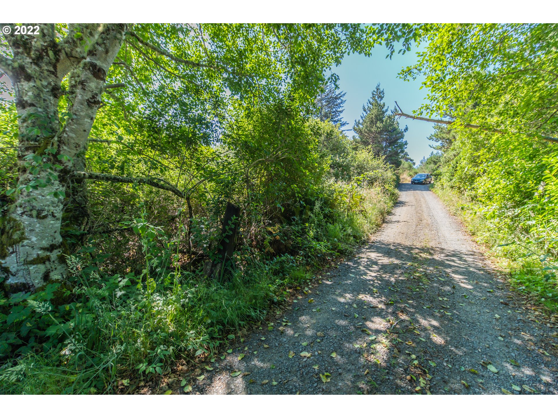 Heceta Beach Road, Unit 4501 Florence, OR 97439 - Photo 9 of 12 Gallery Image 9
