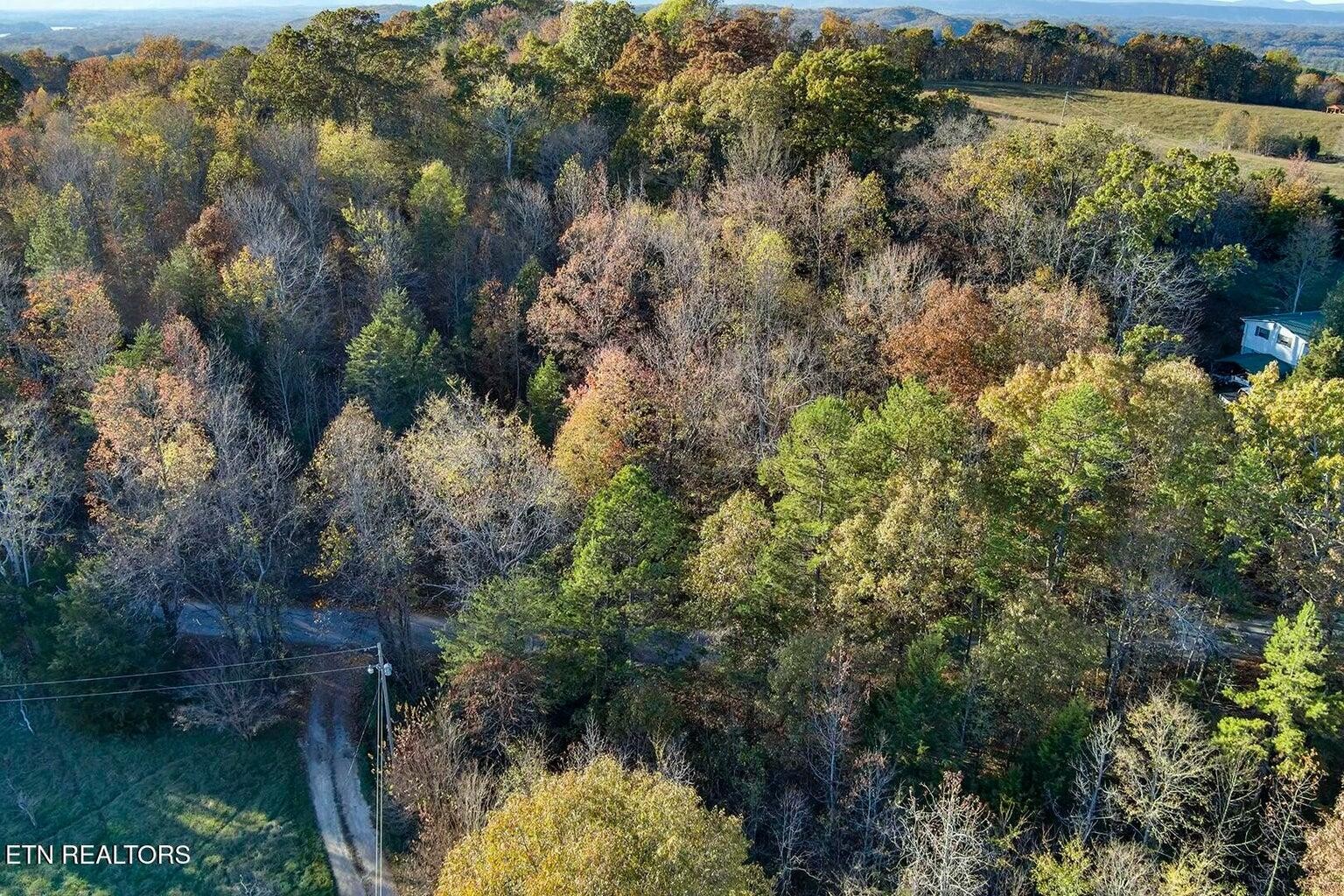 923 Morrison Road Decatur, TN 37322 - Photo 1 of 1 a view of lake