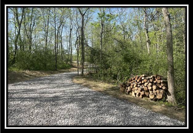 0 Shaver Road, Unit TRACT 1 Blue Rock, OH 43720 - Photo 14 of 31 image014