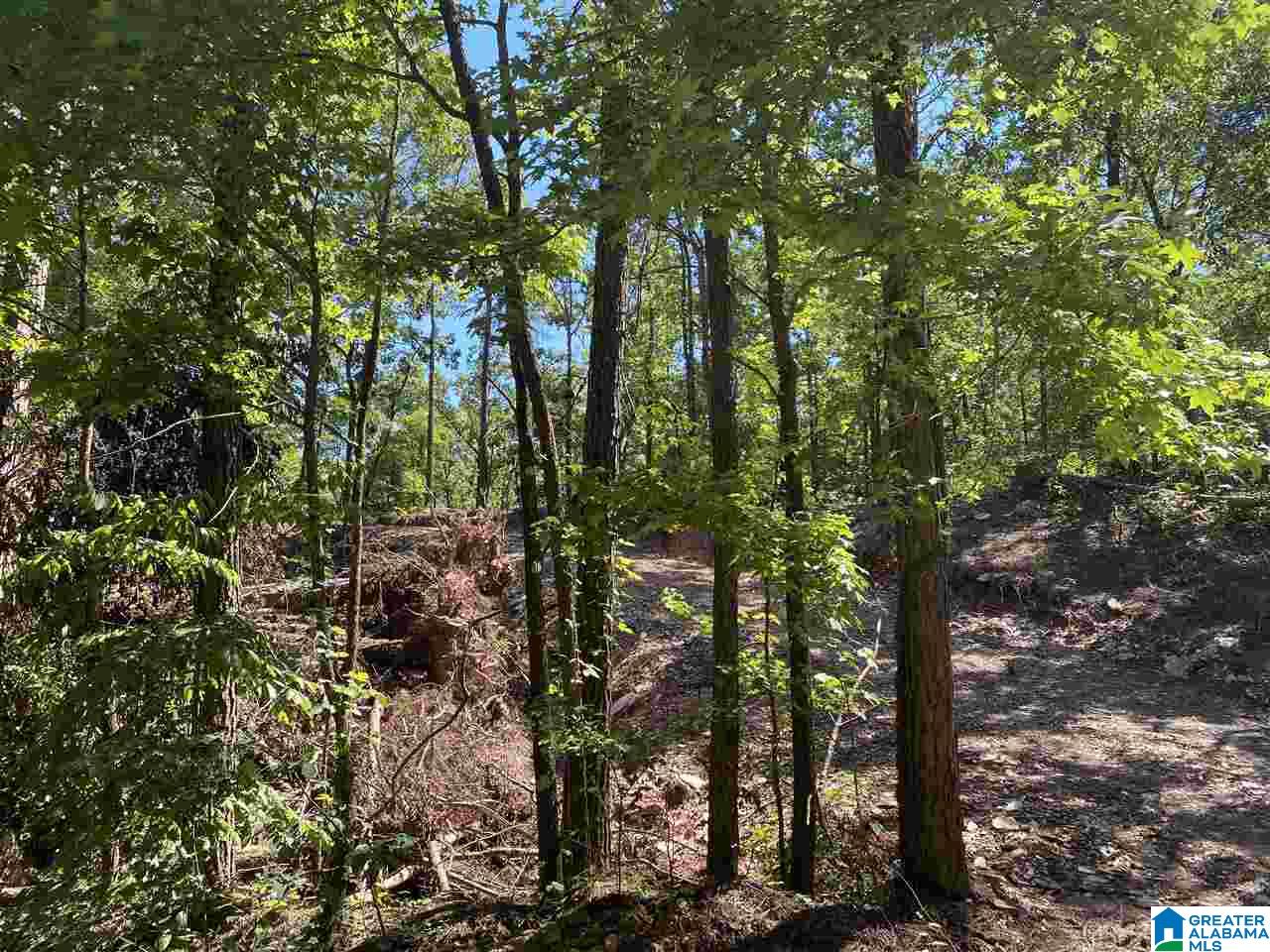 0 County Road 199, Unit 19 / ACRES Clanton, AL 35046 - Photo 7 of 17