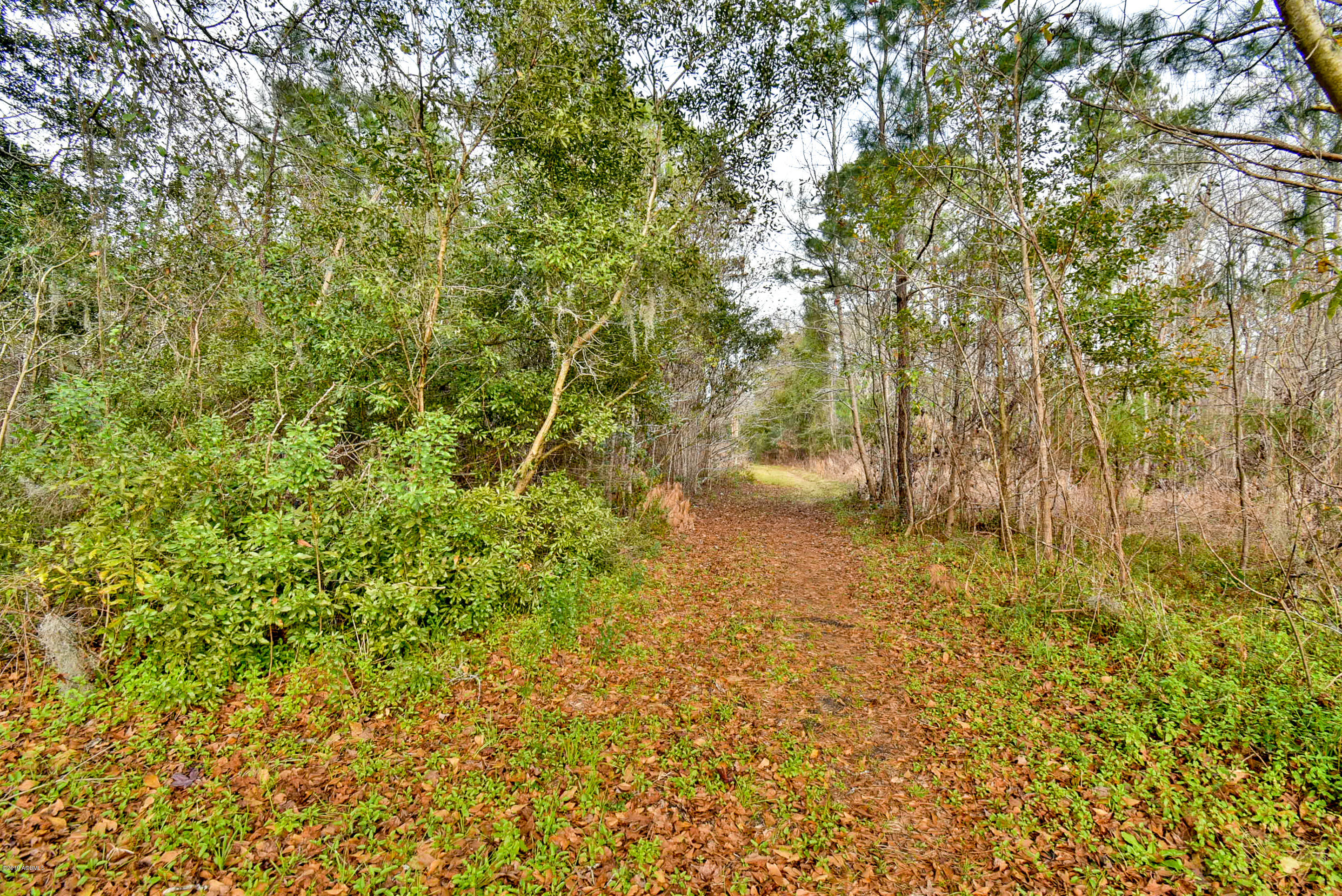 161 Cuffy Road St. Helena Island, SC 29920 - Photo 4 of 9 DSC_0193