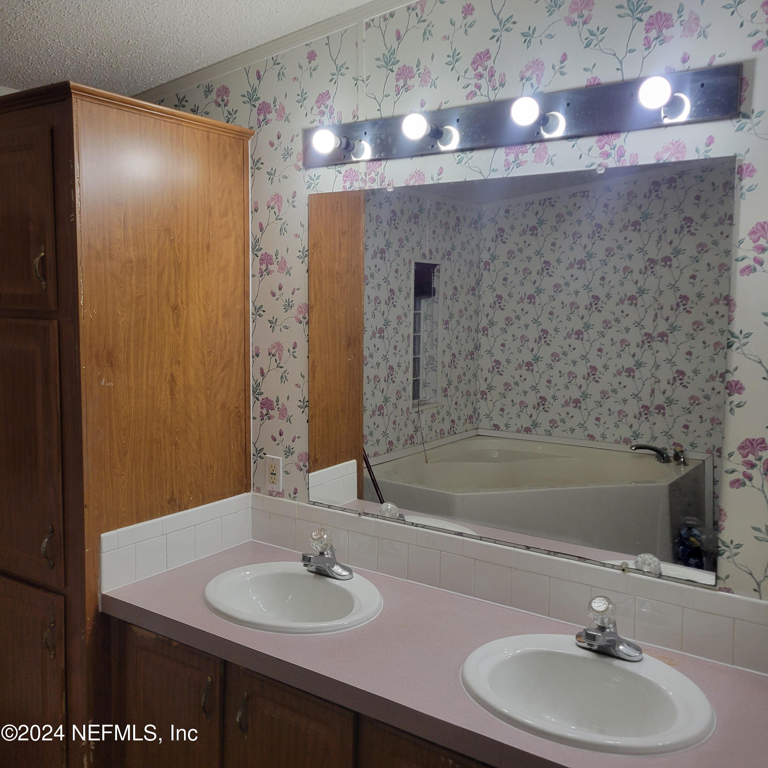 7616 Townsend Road Jacksonville, FL 32244 - Photo 30 of 38 a bathroom with a sink and a mirror