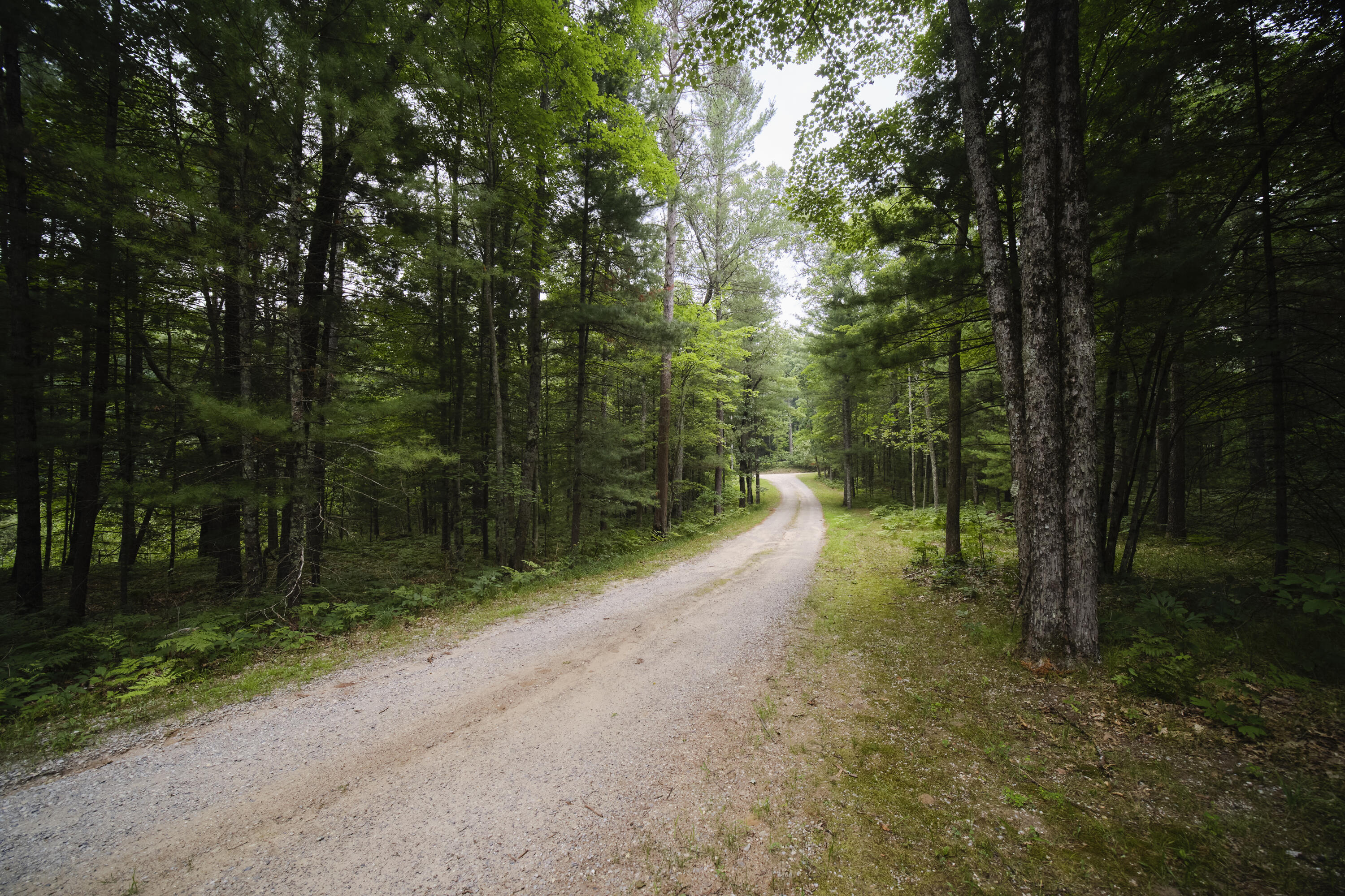 18925 Stronach Dam Road Wellston, MI 49689 - Photo 67 of 69 18925_Stronach_Dam-46