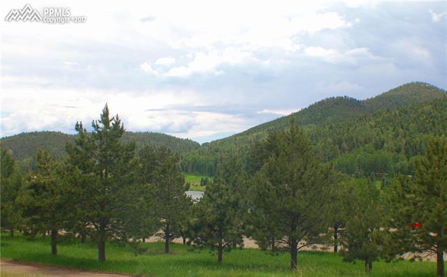 309 County Road, Unit 371 Rye, CO 81069 - Photo 13 of 14 Gallery Image 13