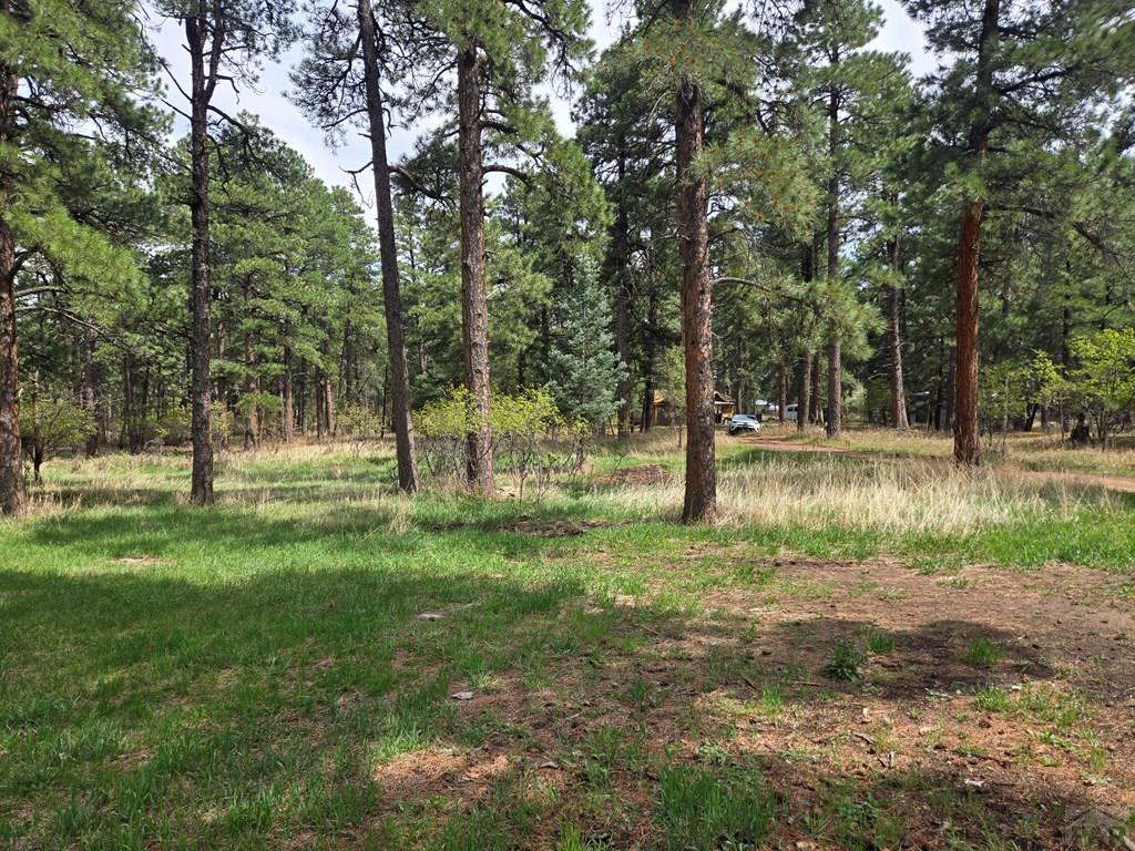 8229 Green Lane Rye, CO 81069 - Photo 21 of 24 a view of park space