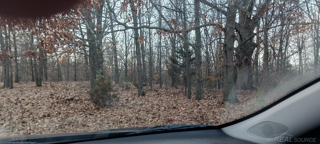 87573 County Road 668 Decatur, MI 49045 - Photo 3 of 5