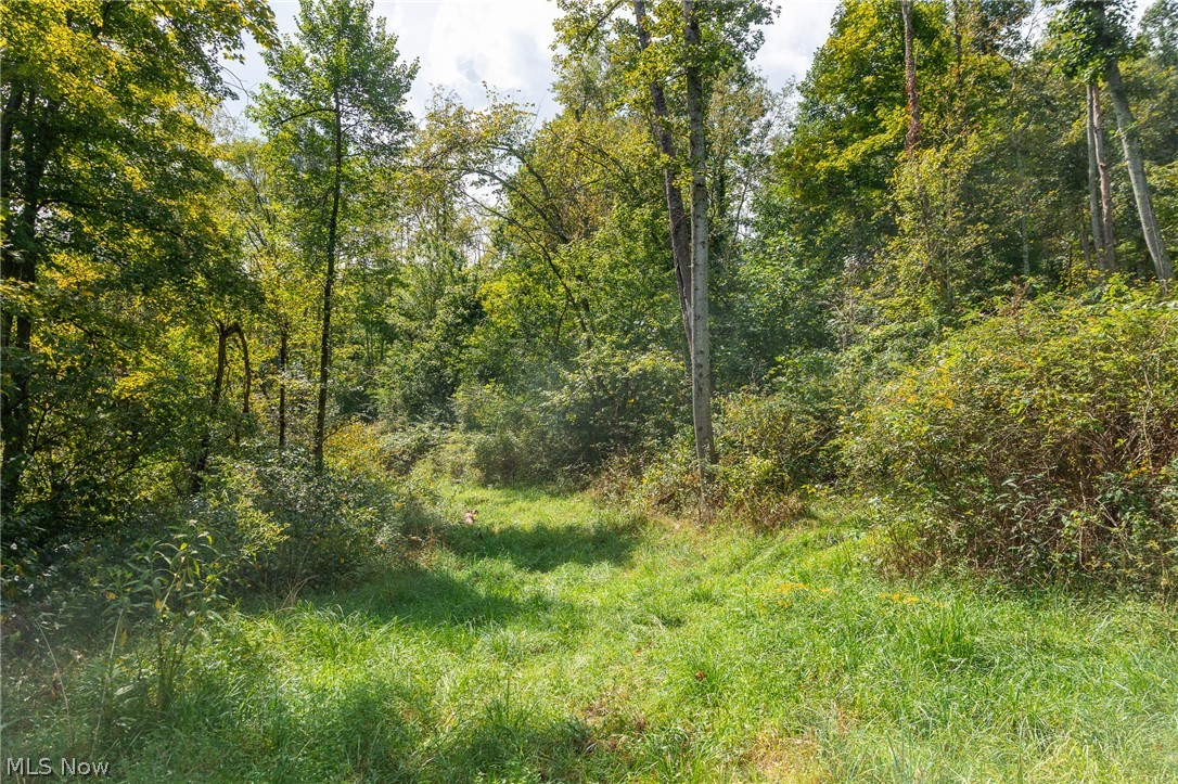 27339 Tabor Ridge Road, Unit 2 Caldwell, OH 43724 - Photo 10 of 50 Gallery Image 10