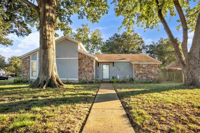 a view of backyard with large tree