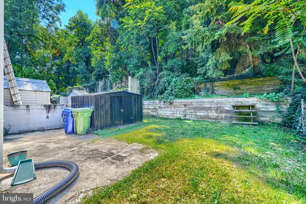 a view of a backyard with tree s
