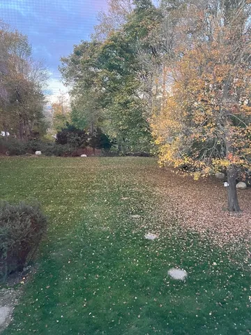 a view of a field of grass and trees