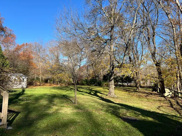 a view of yard with tree