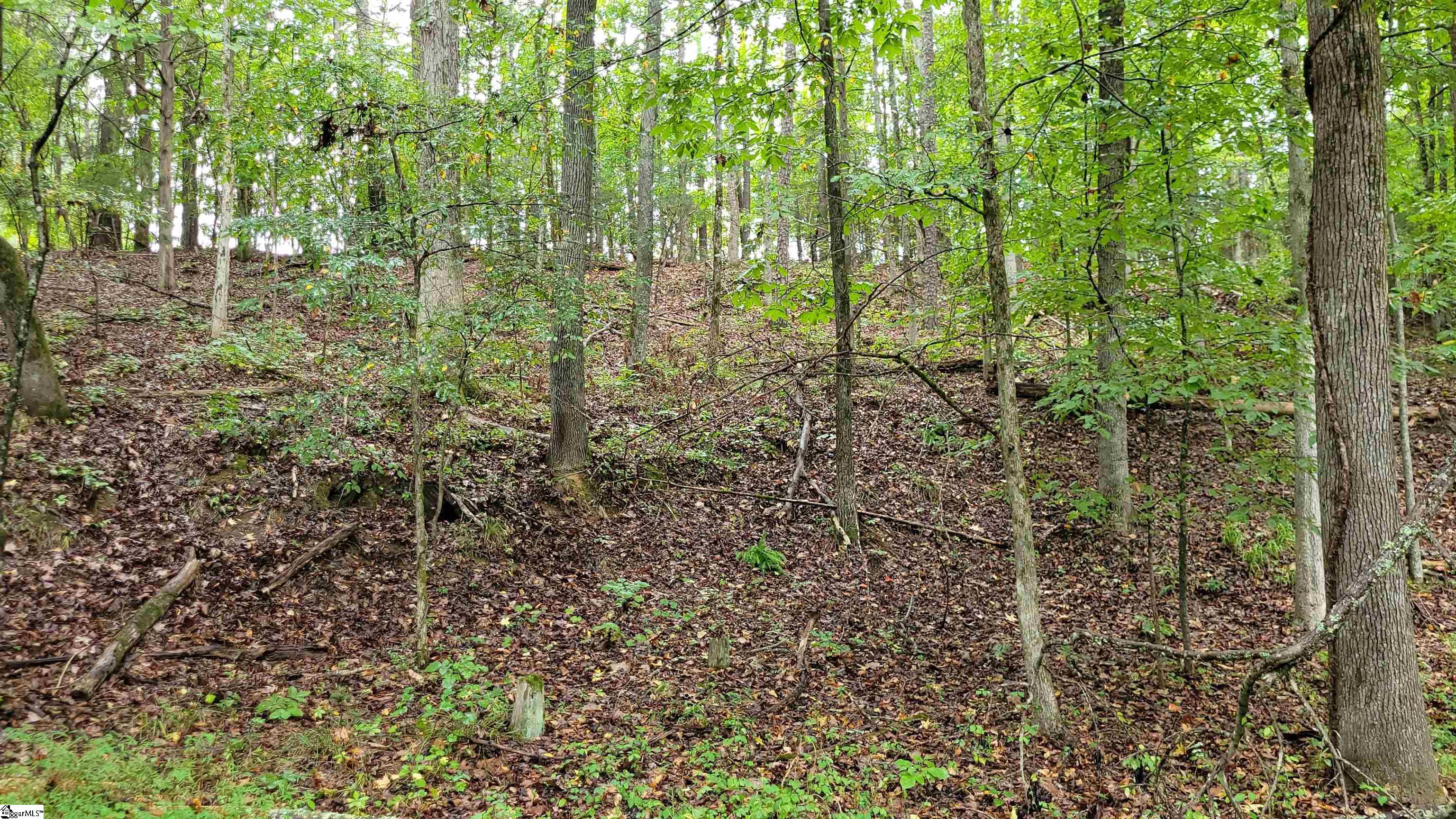 343 State Rd S-30-83 Laurens, SC 29360 - Photo 3 of 9