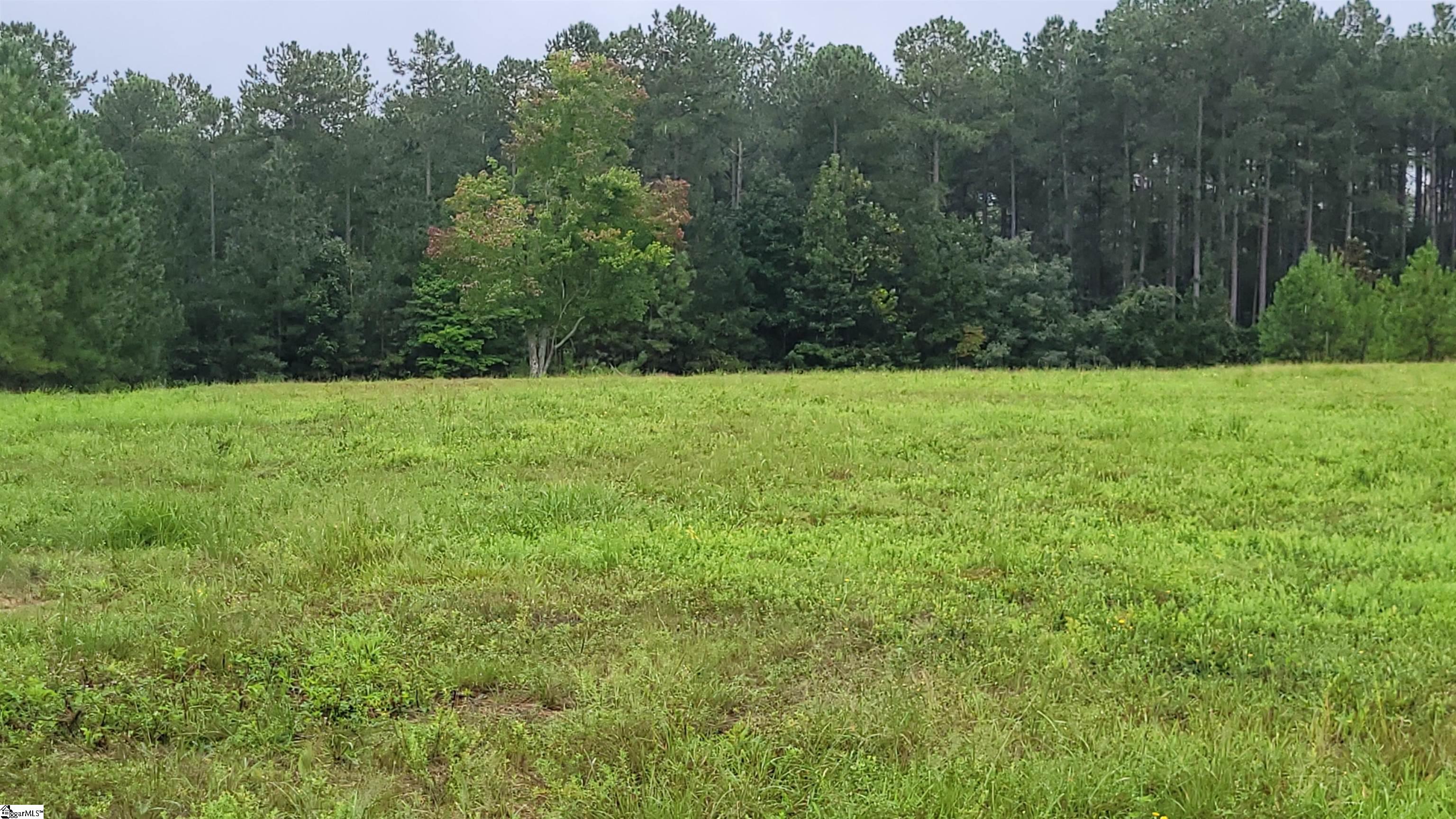 343 State Rd S-30-83 Laurens, SC 29360 - Photo 6 of 9
