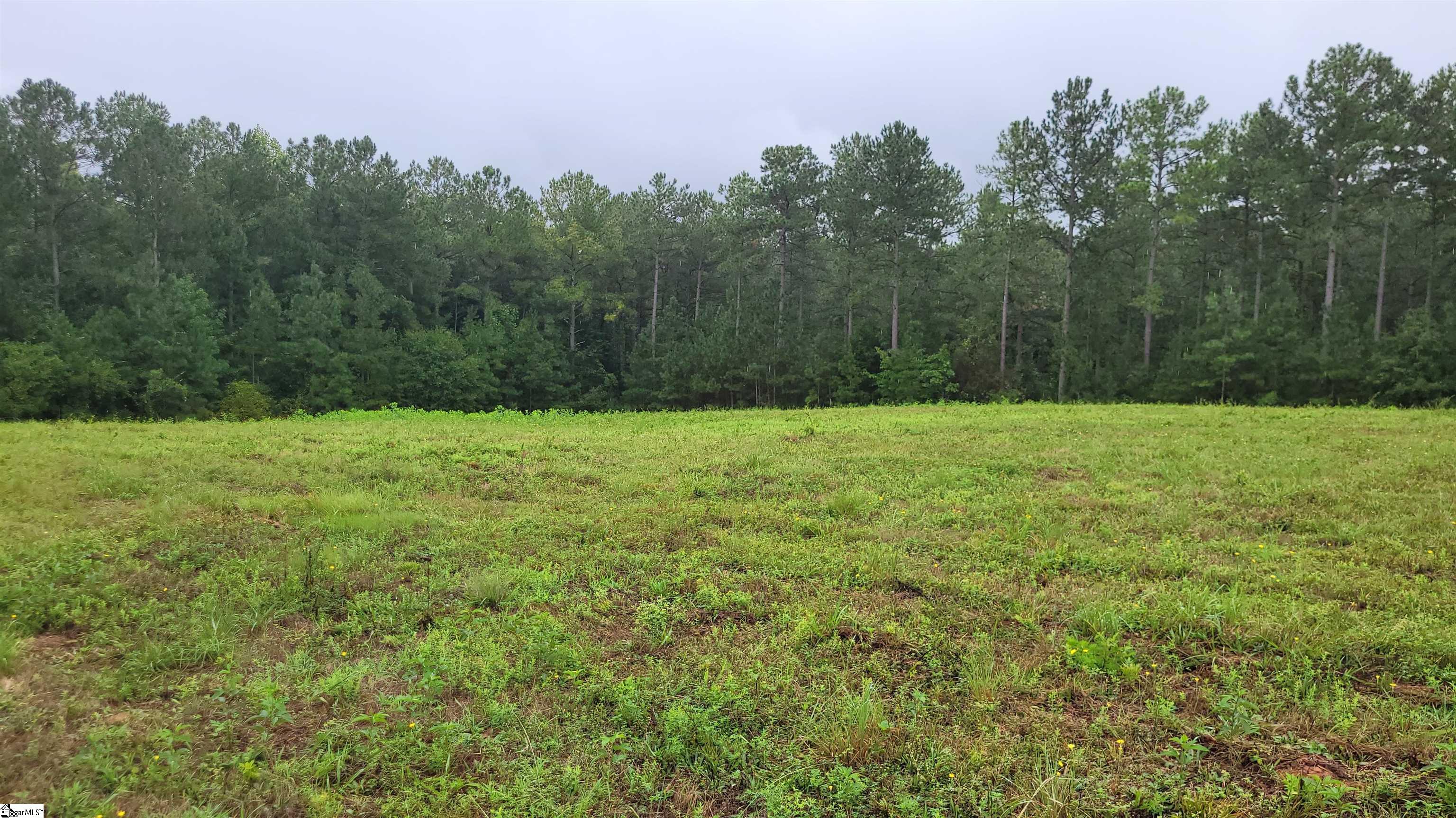 343 State Rd S-30-83 Laurens, SC 29360 - Photo 8 of 9