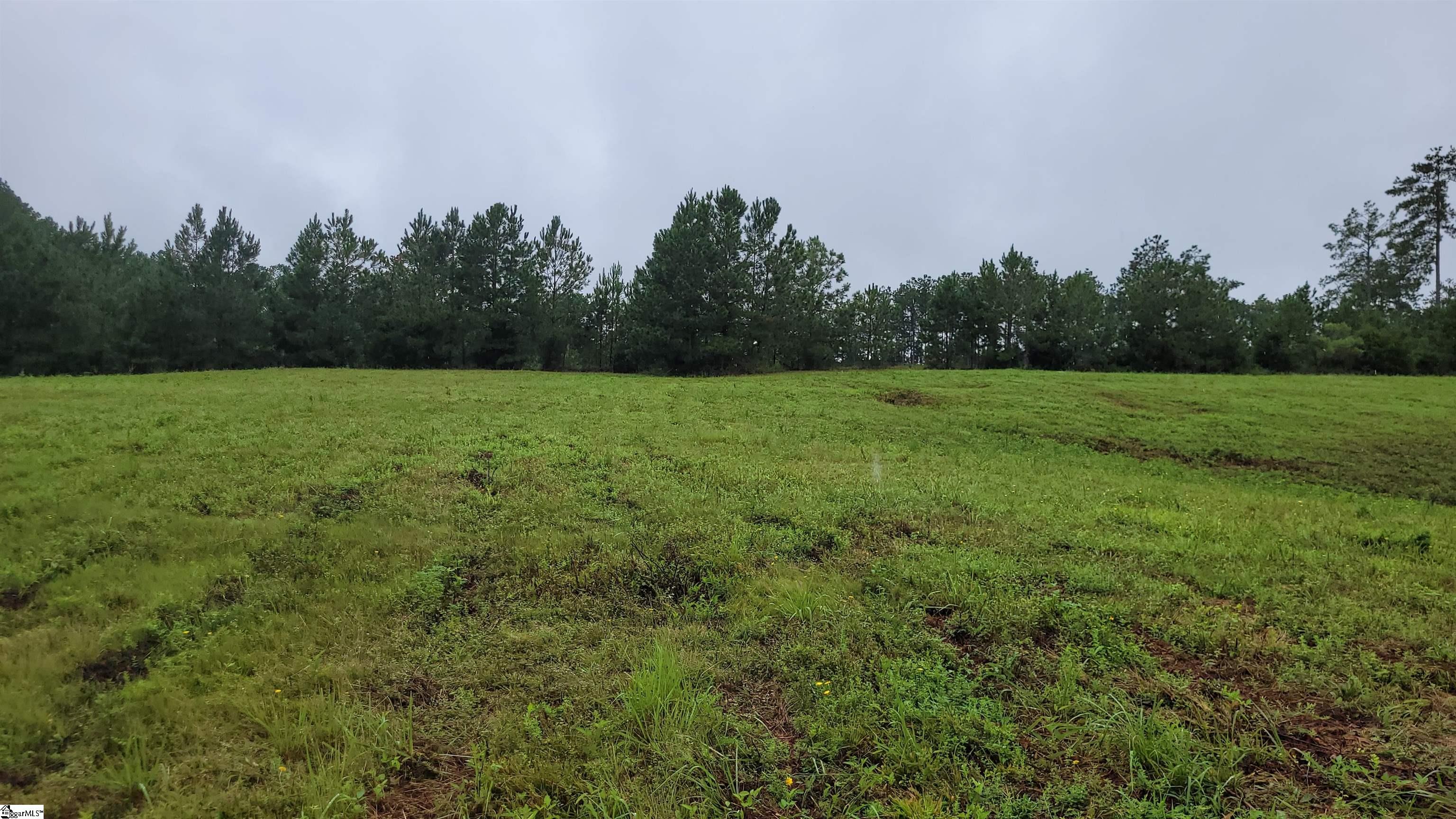 343 State Rd S-30-83 Laurens, SC 29360 - Photo 9 of 9