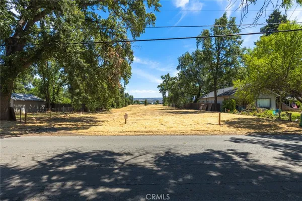 a view of a yard with a tree