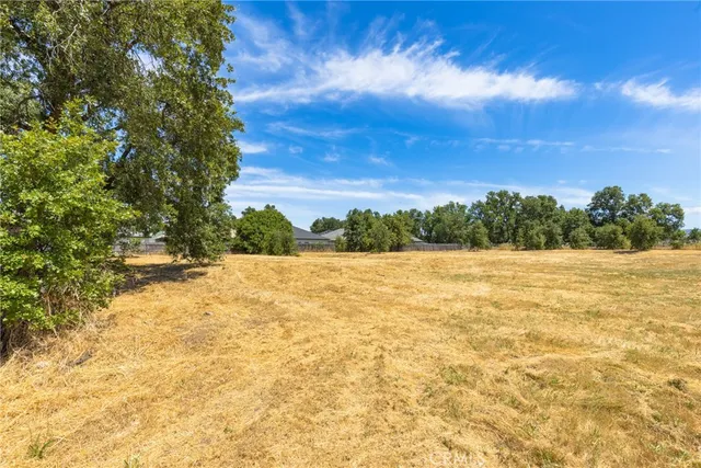 a view of yard with swimming pool and green space