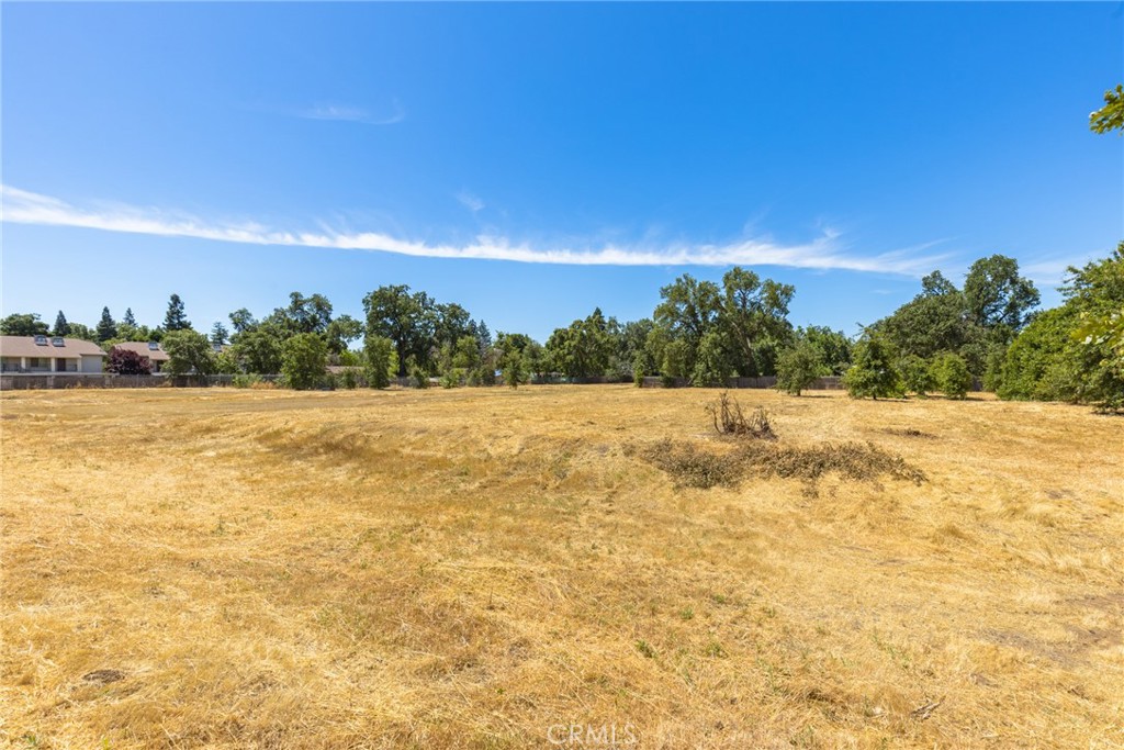 2960 Burnap Avenue Chico, CA 95973 - Photo 7 of 14 a view of yard with swimming pool and mountain in the back