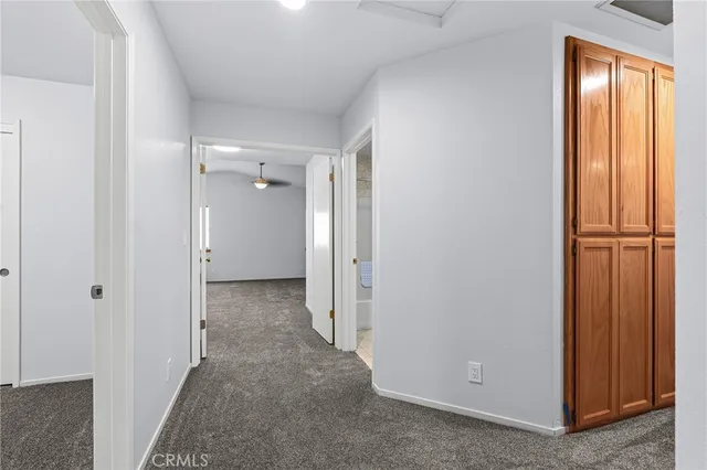 a view of a backyard with plants