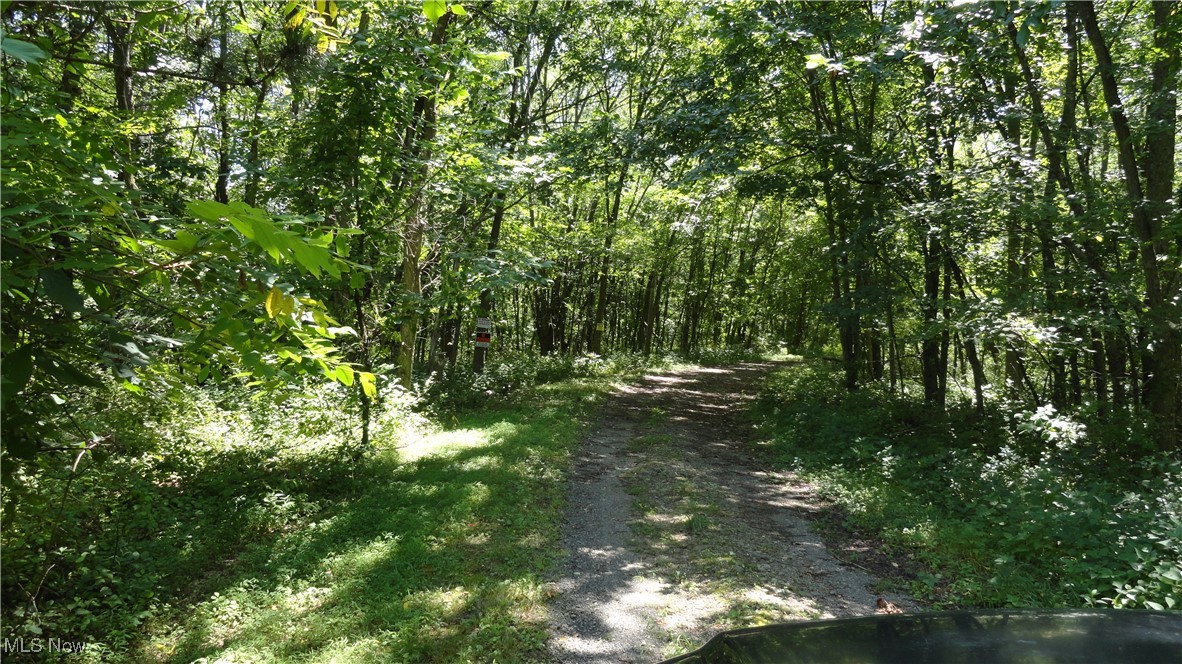 Tbd Glendale Road New Cumberland, WV 26047 - Photo 7 of 17 Private lane