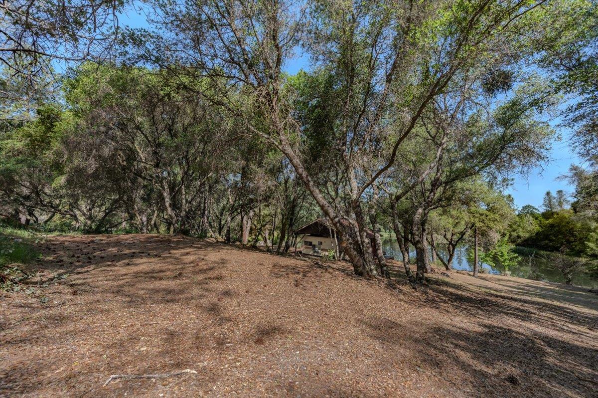 11076 Houghton Ranch Road Penn Valley, CA 95946 - Photo 24 of 41 a view of a yard with a tree