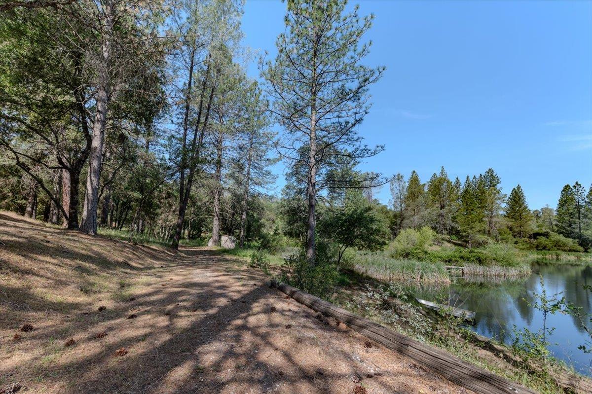 11076 Houghton Ranch Road Penn Valley, CA 95946 - Photo 25 of 41 a view of a forest filled with trees