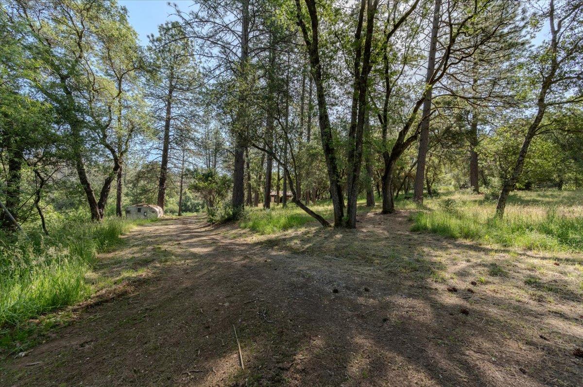 11076 Houghton Ranch Road Penn Valley, CA 95946 - Photo 27 of 41 a view of a forest with trees