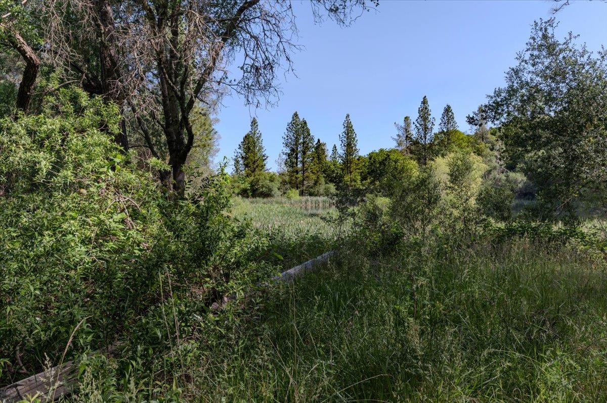 11076 Houghton Ranch Road Penn Valley, CA 95946 - Photo 28 of 41 a view of a city with lush green forest