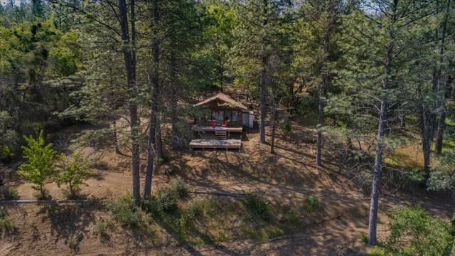 a view of a forest with a street