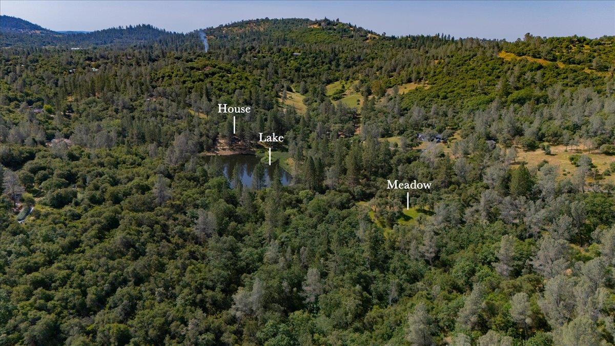 11076 Houghton Ranch Road Penn Valley, CA 95946 - Photo 36 of 41 a view of a forest with a street