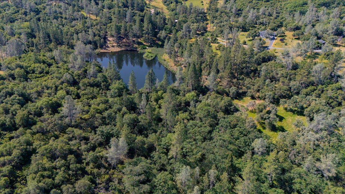 11076 Houghton Ranch Road Penn Valley, CA 95946 - Photo 4 of 41 an aerial view of a house with a yard