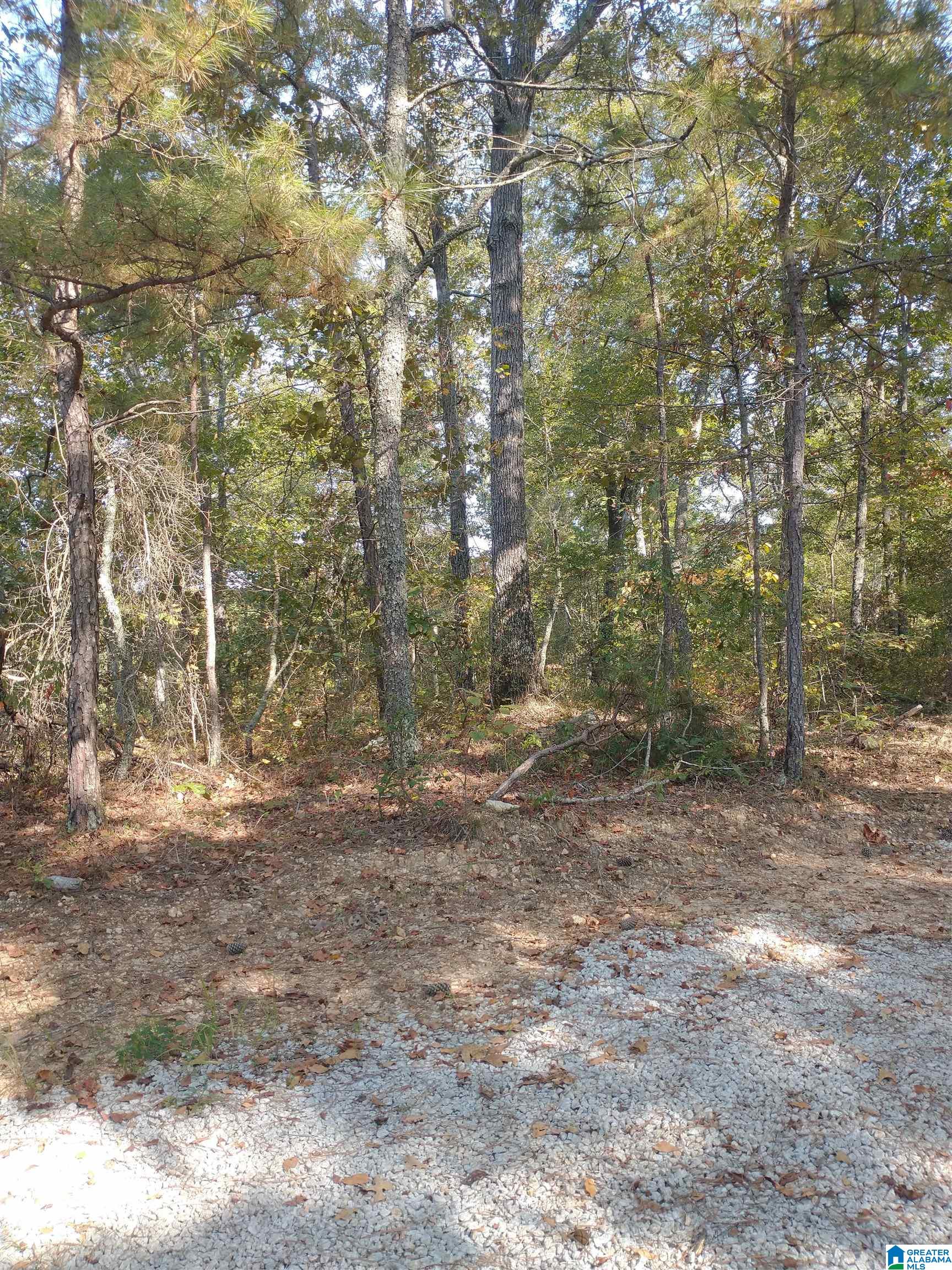 8100 Mckesie Street, Unit 81 ACRES Riverside, AL 35135 - Photo 15 of 18