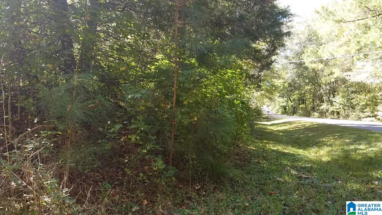 0 Odens Mill Road Sylacauga, AL 35151 - Photo 15 of 23