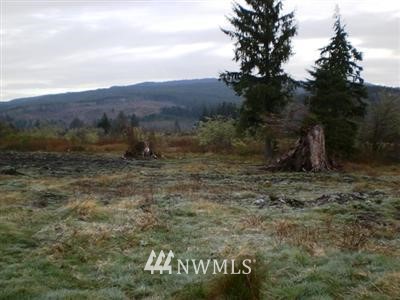 8 C Parpala Road Naselle, WA 98638 - Photo 1 of 1 Gallery Image 1