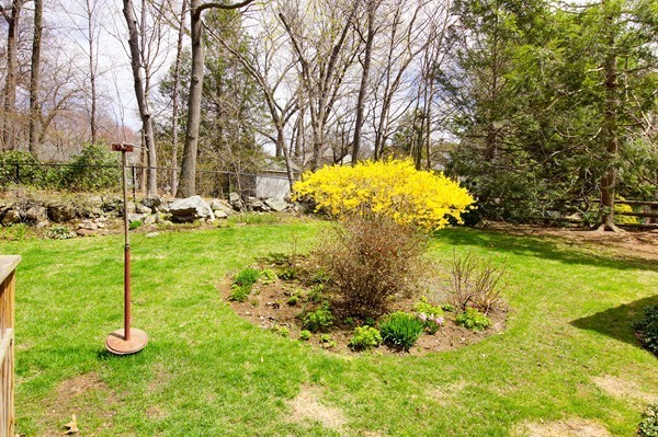 46 Jefferson Road Winchester, MA 01890 - Photo 3 of 18