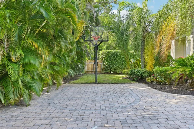 a view of a road with plants and large trees