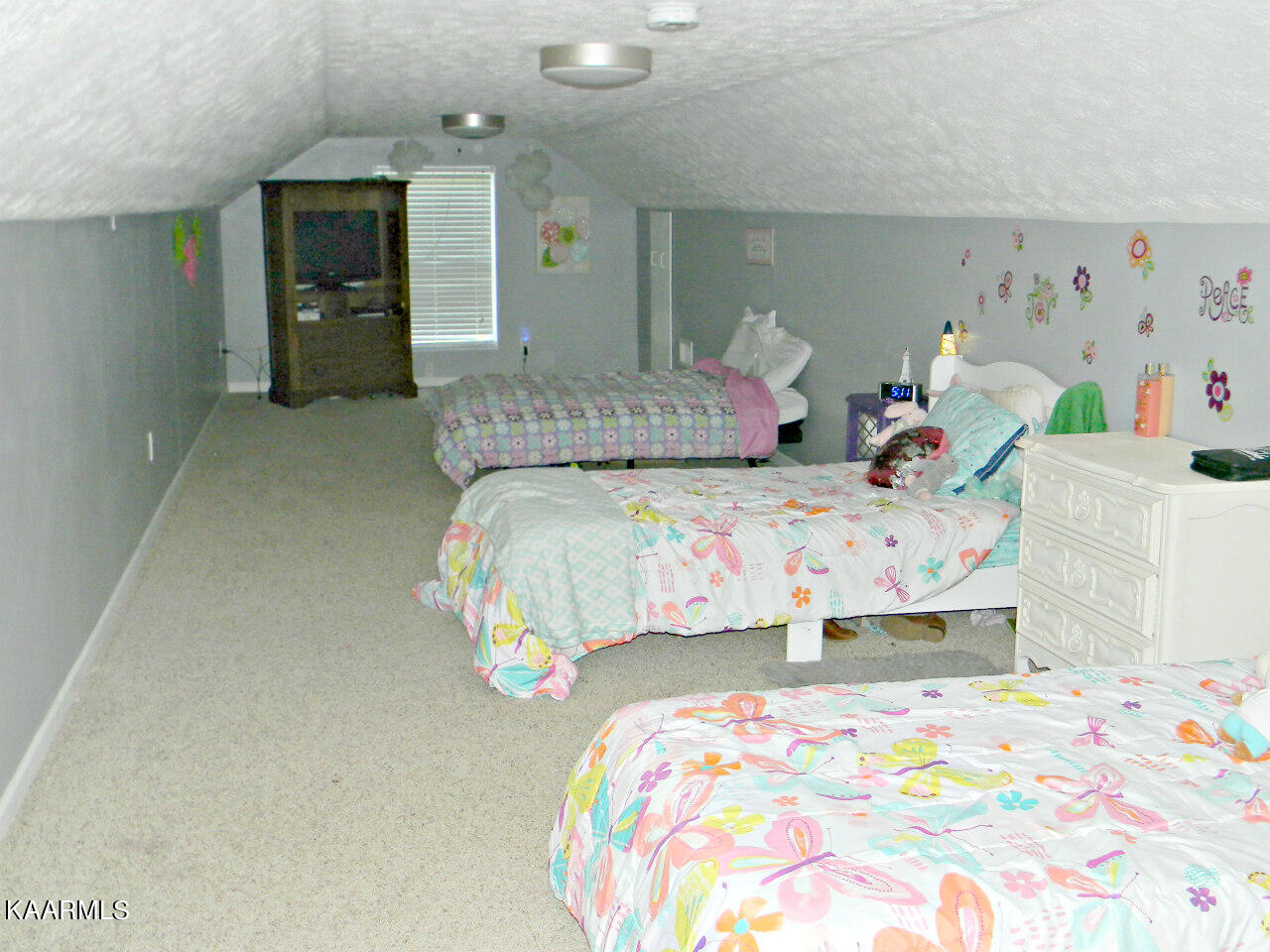 230 Elkins Ridge Road Bean Station, TN 37708 - Photo 31 of 48 DSCN4367